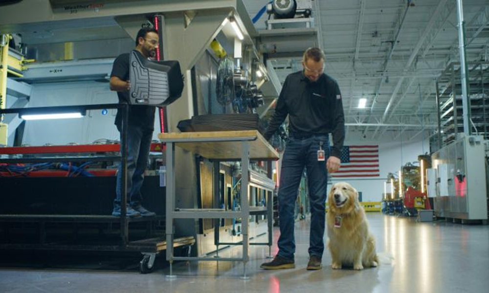 Meet Scout, the star of the WeatherTech commercial that aired during the  Super Bowl® last Sunday!